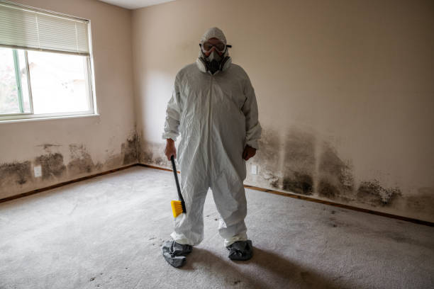 Best Industrial Mold Remediation  in Buckner, MO